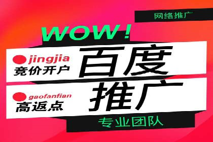 专业SEM托管服务，案例解读SEO优化策略